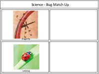 Bug Match Up Game Board