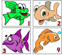 Fish Numbers