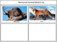 Forest Animals Printable Cards