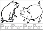 Letter P Pig children learn the letter Pp