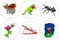 Bug Hunt Story Cards Circle Time Activity