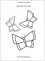 Butterfly Shape Game Shape Activity