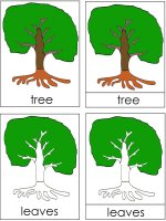 Preschool Science for kids – Parts Of A Tree Poster for October