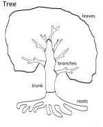 October Science for preschool kids – Parts Of A Tree Coloring Page