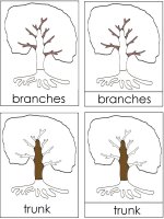 Preschool Lesson Plans October Science for kids – Parts Of A Tree Poster