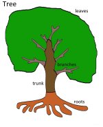 Preschool October Science for kids – Parts Of A Tree Poster