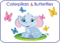 Caterpillar & Butterfly Theme Poster