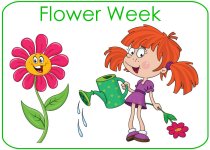 Preschool Flower Theme Poster