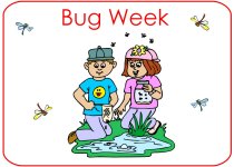 Preschool Bug Theme Poster