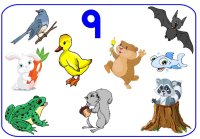 Preschool March Number Display  – Number nine 9 Poster