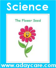 Flower Theme Science Seed Story